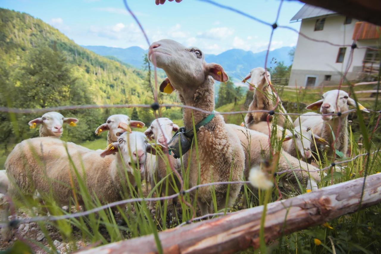 Apartma Gorski Razgled Srednja Vas v Bohinju Eksteriør bilde